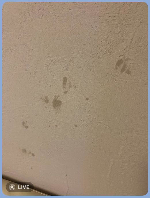 LINE capture 778742484.675197